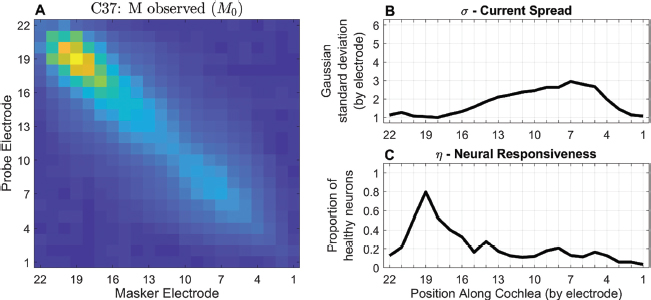 Figure 1. Panoramic ECAP Method example from participant C37 who has a Cochlear CI632 (Slim Modiolar) array. Data was collected at the MRC Cognition & Brain Sciences Unit, University of Cambridge. The M(0) is depicted on the left in panel A, with the current-spread (panel B) and neural-responsiveness (panel C) estimates on the right. Panel A depicts higher ECAP amplitudes in yellow and lower amplitudes in blue. (A colour bar is omitted because the algorithm relies on the relative values of cells in M(0) and not on their absolute values).