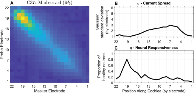 Figura 1. Ejemplo del Método ECAP Panorámico del participante C37, que cuenta con una guía Cochlear CI632 (Slim Modiolar). Los datos se recopilaron en la MRC Cognition & Brain Sciences Unit de la Universidad de Cambridge. M0 se representa a la izquierda, en el panel A, mientras que las estimaciones de dispersión de corriente (panel B) y de respuesta neural (panel C) aparecen a la derecha. El panel A muestra las amplitudes ECAP más altas en amarillo y las más bajas en azul. (Se omite la barra de colores porque el algoritmo se basa en los valores relativos de las celdas de M0 y no en sus valores absolutos).